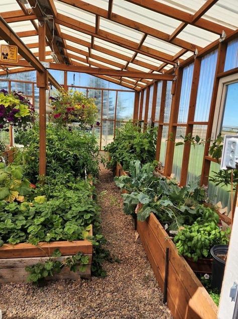 Herbal Greenhouse, Rustic Greenhouses, Lots Of Plants, Greenhouse Interiors, Home Grown Vegetables, Vegetable Garden Diy, Greenhouse Plants, Backyard Greenhouse, Greenhouse Plans