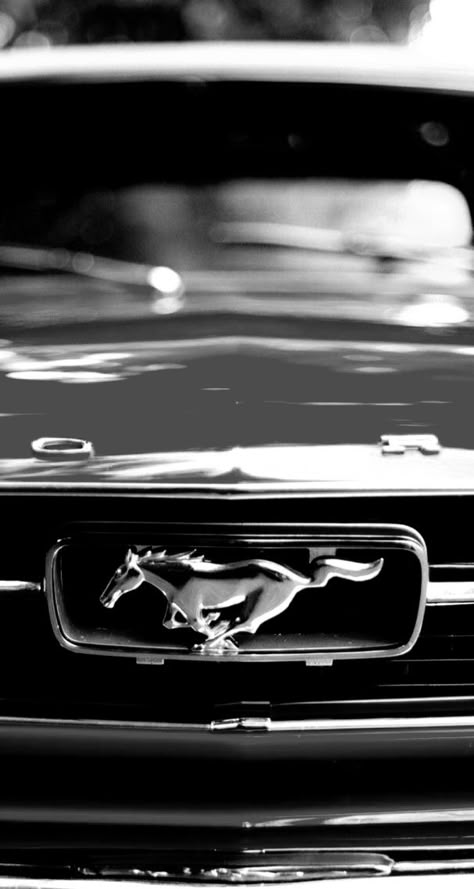 Vintage Black Mustang Aesthetic, Old Mustang Wallpaper, Old Mustang Aesthetic, Mustang 1969 Wallpaper 4k, Vintage Mustang Wallpaper, Ford Mustang Aesthetic, 1967 Mustang Wallpaper, Siyah Mustang, Mustang Aesthetic