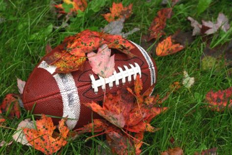 Where and when to catch Fall Foliage in New England. Great guide with helpful dates. #NewEngland #Autumn #FallFoliage Rugby Party, Football Thanksgiving, Fall Foliage Trips, Autumn Tale, French Horns, Magical Autumn, Thanksgiving Football, Traditional Thanksgiving, College Football Season