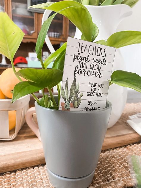 Teacher Appreciation Gifts Plants, Teacher Plant Gift Ideas, Teacher Plant Gift, Cheap Teacher Appreciation Gifts, Teacher Thank Yous, Custom Teacher Appreciation Gifts, Teacher Retirement Parties, Sunshine Committee, Flower Sign