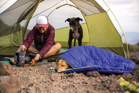 Even your pup has a cozy place to sleep on cooler nights. Companies, such as Ruffwear, make camping gear specifically for man’s best friend. Dog Sleeping Bag, Jack Russell Mix, Manchester Terrier, Dog Sleeping, Down Sleeping Bag, Best Camping Gear, Dog Pads, Dog Boots, Dog Rooms