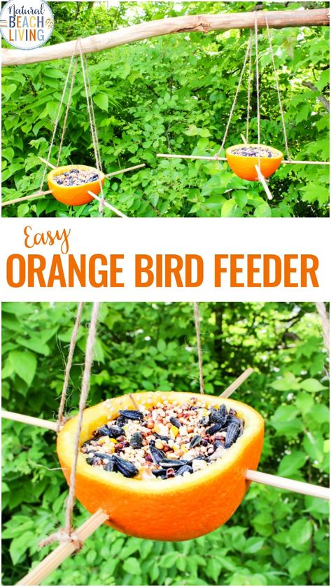 Bird Feeders For Kids To Make, Oriole Bird Feeders, Pine Cone Bird Feeder, Bird Seed Ornaments, Bird Feeder Craft, Oriole Bird, Easy Bird, Homemade Bird Feeders, Fun Outdoor Activities