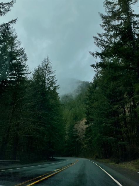 Oregon Aesthetic, Oregon Mountains, Aesthetic Scenery, Oregon Forest, Mountain Vibes, Thought Daughter, Dark Landscape, Pretty Landscapes, Dream Trip