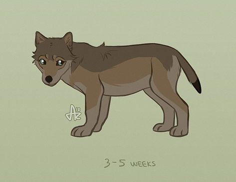 Wolf Pup Drawing, Wolf Anatomy, Captain Fordo, Woods Animals, Wolf Pups, Wolf Drawings, Cute Dog Drawing, Wolf Life, Cartoon Dogs