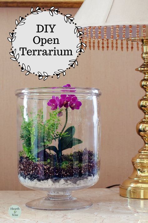 Open terrarium with an orchid and fern. Terrarium Centerpiece Ideas, Diy Open Terrarium, Faux Terrarium Ideas, How To Make A Closed Terrarium, Plants For Open Terrarium, Valentine Terrarium, How To Make A Terrarium, Open Terrarium Ideas, Preparing Garden Beds