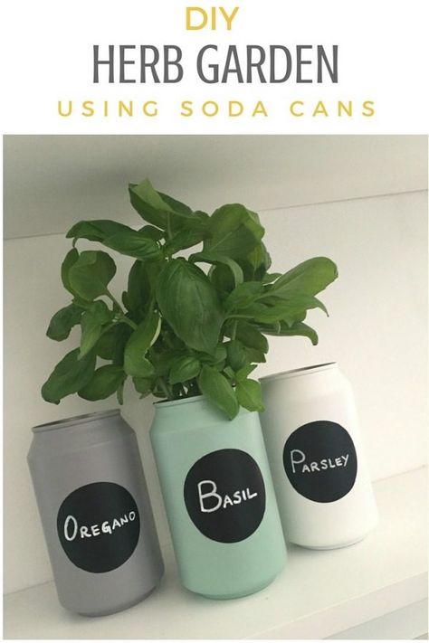 diy herb garden made from recycled cans Recycled Planters, Plastic Milk Bottles, Diy Herb Garden, Diy Plastic Bottle, Recycle Cans, Pop Cans, Quick Diy, Indoor Herb Garden, Herbs Indoors