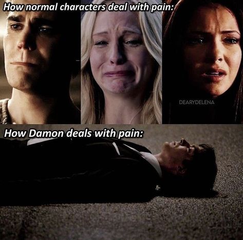 Klaus From Vampire Diaries, Vampire Diary, Vamp Diaries, Vampire Diaries Memes, The Vampire Diaries Characters, Damon Salvatore Vampire Diaries, Vampier Diaries, The Vampire Diaries 3, Vampire Diaries Movie