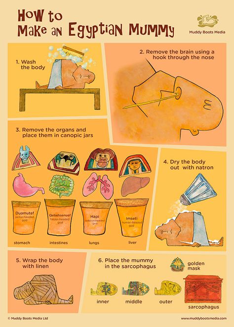 Making A Mummy Ancient Egypt, How To Make A Sarcophagus, Ancient Egypt Ks2, Mummification Project For Kids, Ancient Egypt Activities Middle School, Ancient Egypt Homeschool, Egypt School Projects For Kids, Ancient Egypt Projects For Kids, Ancient Egypt Activities For Kids