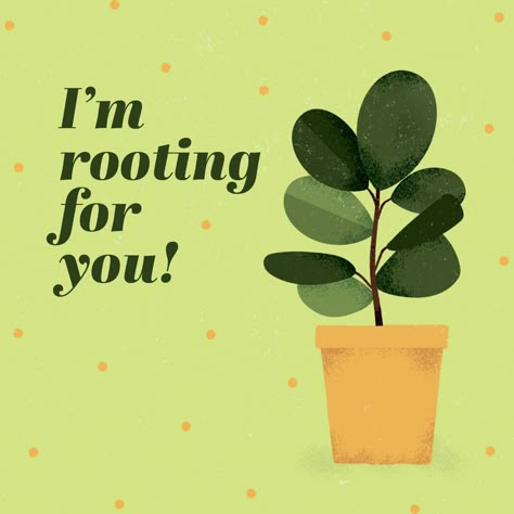 50 Plant and Cactus Puns for Your Inner Plant Lady | ProFlowers Quotes For Plants, Im Rooting For You Quotes, Im Rooting For You, Plant Growth Quotes, Plant Humor, Rooting For You, New Plant Quotes, Cute Plant Quotes, Quotes On Plants Inspiration