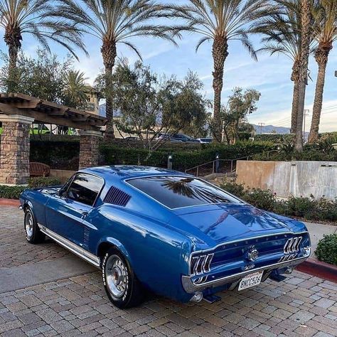 Awesome Classic Muscle Cars on Instagram: “Sick 67 Mustang GT Fastback @muzzy289 ♥️Check Bio .  #fordmustang#shelby…” Mustang 1967, Ford Mustang 1967, 67 Mustang, Classic Muscle Cars, 1967 Ford Mustang, Auto Retro, Ford Mustang Fastback, Vintage Muscle Cars, Lovely Car