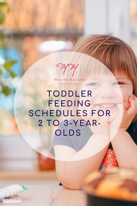 When parents are responsive feeders, a feeding schedule for 2-3 year old toddlers can help encourage healthier eating habits. Here's what you need to know. Toddler Feeding Schedule, Toddler Eating Schedule, Beans For Babies, Baby Food Allergies, Healthier Eating Habits, Toddler Nutrition, Meal Calendar, Meal Schedule, Eating Schedule