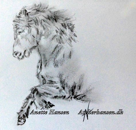 Icelandic horse. Icelandic Horse Drawing, Horse Sketch, Icelandic Horse, Horse Drawing, Horse Drawings, Horse Painting, Art Stuff, Drawing Sketches, Subjects