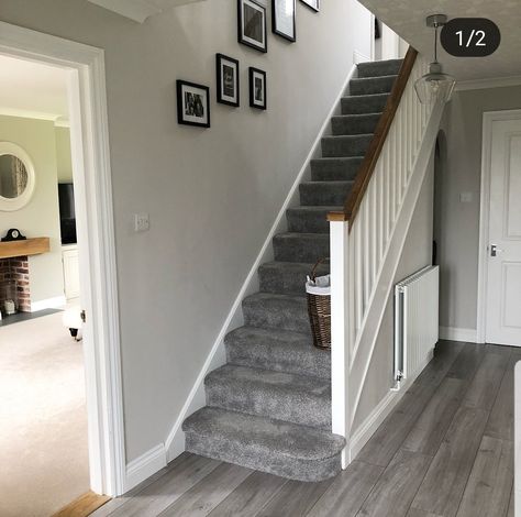 Grey And White Hallway, Grey Carpet Hallway, Grey Stair Carpet, Stairway Carpet, Entrance Hall Decor, Gray Stairs, Carpet Staircase, Hall Colour, Staircase Interior Design