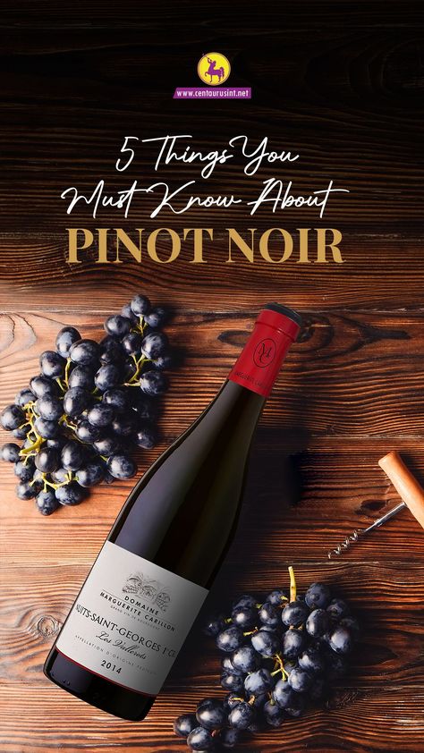 Here are 5 interesting things you must know about Pinot Noir: - Germany is a top Pinot Noir Producer - Where there’s Pinot Noir, there’s Chardonnay Romans and Monks were the first Pinot-lovers Pinot is a very hard grape to grow Some of the oldest Pinot Noir vines in the world are in Australia Check out our Pinot Noir Wines Must be 21+. Please drink responsibly. . . . . #centaurusinternational #dubaidrinks #RAK #mydubai #drinkstagram #pinotnoir #vino #wine #sparkling #valentines #bubbly #brut Alcohol Facts, Wine Alcohol, Pinot Noir Wine, Drink Responsibly, Drinks Design, Liquor Store, Pinot Noir, Chardonnay, 5 Things