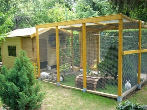 Amazing outdoor setup for bunny! Outdoor Rabbit Enclosure, Rabbit Shed, Outdoor Rabbit, Rabbit Enclosure, Outdoor Rabbit Hutch, Rabbit Habitat, Bunny Hutch, Bunny Room, Pet Bunny Rabbits