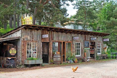 Micro Distillery, Garden Huts, Rustic Shed, Cedar Cabin, Grass Roof, Shed Of The Year, Future Buildings, London Townhouse, Garden Workshops