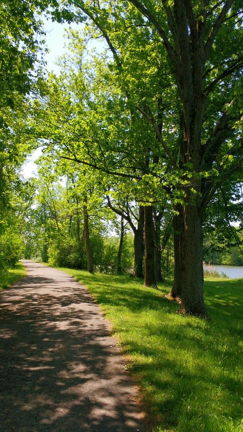 Nature Path Aesthetic, Nature Road Background, Road Tree Background, Natural Road Background, Road With Trees Pathways, Qur'an Photography, Meditation Garden, Japan Aesthetic, Nature Garden