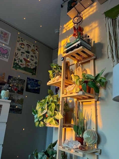 Plant Setup In Bedroom, Plant Dorm Room Aesthetic, Organized Maximalist, Organization Room Ideas, Granola Room, Dorm Room Plants, Earthy Dorm Room Ideas, Maximalist Dorm, Earthy Room Decor