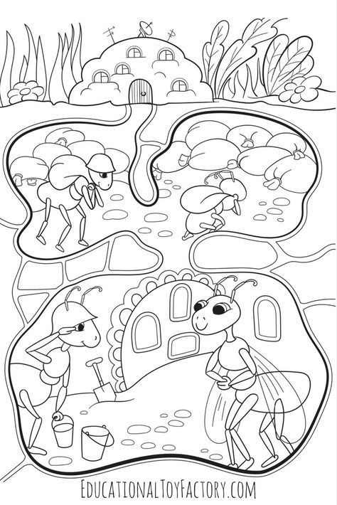 Pictures Of Ants, Ant Crafts, Insect Unit, Insects Preschool, Preschool Garden, Insects Theme, Bug Crafts, Coloring Pages Free Printable, Science Activities For Kids