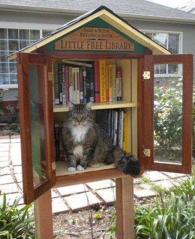 22 Little Free Libraries That Will Make Your Heart Happy - BOOKGLOW Bookstore Cats, Book House, Little Library, Free Library, Cat Books, Cute Kittens, Book Nooks, Pretty Cats, Dexter