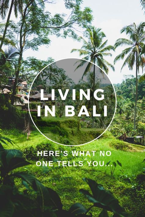 New York Must See, Living In Bali, Bali Baby, Bali Guide, Living In Europe, Bigger Picture, Move Abroad, Vegan Travel, Bali Travel