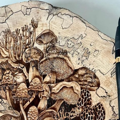 Edible Mushrooms, Pyrography Art, Wild Edibles, Wood Burning Art, Wood Burner, Wood Work, Artist On Instagram, Pyrography, Wood Carving