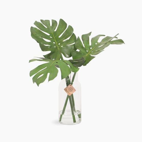 Garden Flower Arrangements, Monstera Leaf Decor, Tropical Contemporary, Flower Arrangements Bouquets, Artificial Garden, Flower Vase Arrangements, Monstera Leaves, Indoor Flowers, Vase Arrangements