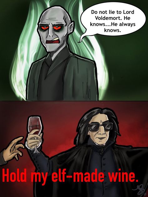 Snape Funny, Professor Severus Snape, Star Wars Villains, The Dark Lord, Harry Potter Severus, Harry Potter Severus Snape, Snape Harry Potter, Snape Harry, Star Trek Beyond