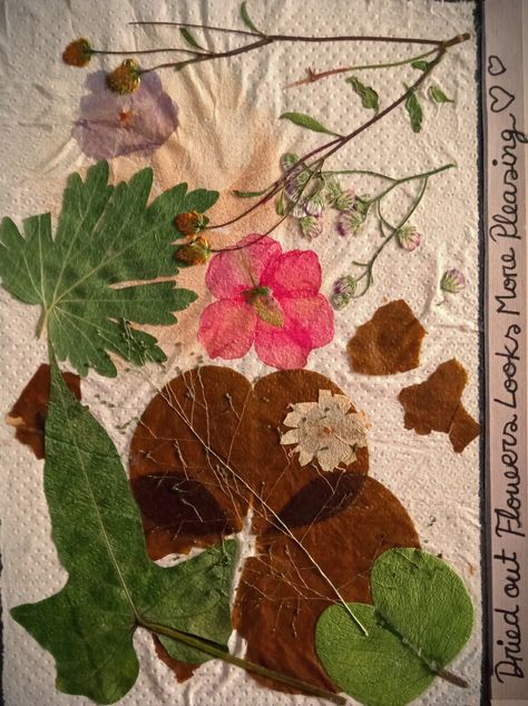 Different kinds of flowers and leaves are dried out by sunlight, sticked with glue in a page of journal. Dried Flower Art, Kinds Of Flowers, Scrap Journal, Different Kinds Of Flowers, Dry Leaves, My Journal, Dry Leaf, Different Kinds, Journal Design