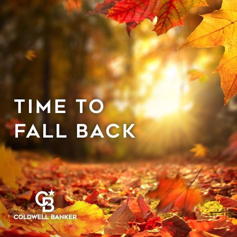 Daylight Saving Time ends today. Turn the clock back an hour at 2 am and use the extra time to look for your dream home. Contact me, 305-335-8822, marielo@miamisells.com, www. miamisells.com #daylightsavings #daylightsavingtime #DaylightSavings2022 Daylight Saving Time Ends, Daylight Saving Time, Daylight Saving, Clocks Back, 2 Am, Daylight Savings, Daylight Savings Time, Saving Time, Fall Back