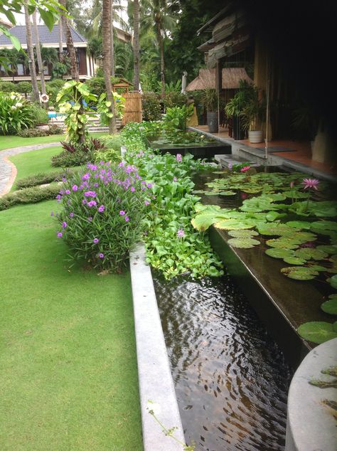 Vietnam garden Thailand Garden Ideas, Thai Garden Design, Terrarium Landscape, Thai Garden, Case Creole, Feng Shui Garden, Mini Pond, Tropical Landscape Design, Fish Garden