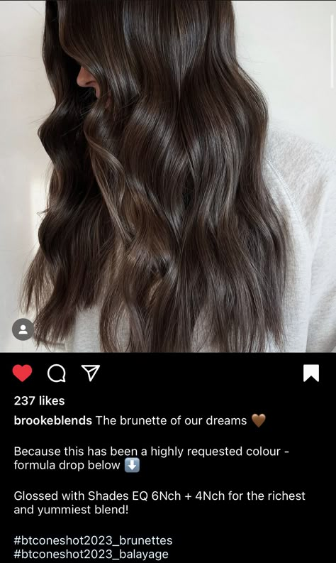 Brunette Gloss Formula, Brunette Hair Formulas Chocolate Brown, Ash Brown Redken Formula, Brunette Hair With Mushroom Highlights, Brown Hair Colors Formula, Brunette Mushroom Hair, Dark Brown Redken Shades Eq, Non Brassy Brunette, Ashy Brunette Formula