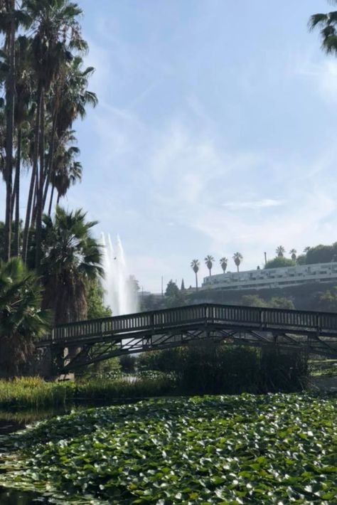 echo lake park Lake Hollywood Park Photoshoot, Echo Park Lake, The Last Bookstore, Los Angeles Parks, Book Reference, Lake Photoshoot, Scrapbook Generation, Echo Lake, La Baby