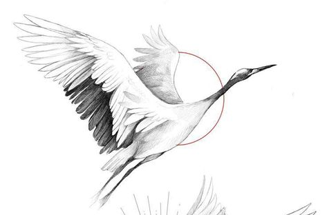 Stork Tattoo Design, Flying Crane Tattoo, Crane Tattoo Japanese, Stork Tattoo, Unique Minimalist Tattoo, Tattoo Crane, Heron Tattoo, Mom Dad Tattoo Designs, Scandinavian Tattoo