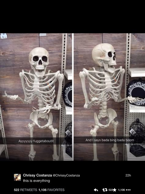 Chrissy Funniest Snapchats, A Skeleton, Spooky Scary, Have A Laugh, Laughing So Hard, What’s Going On, Funny Pins, Tumblr Funny, Bones Funny