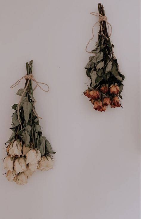 Dried Roses Aesthetic, January Moodboard, Brown Bedroom Decor, Dead Roses, Victorian Wall Decor, Flower Room Decor, Dried Arrangements, Flowers In The Attic, Dried Roses