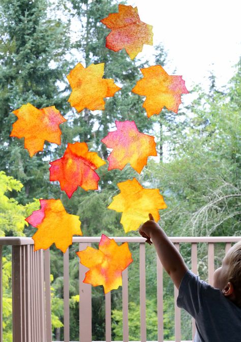 How to make bright and vibrant fall leaf suncatchers with a free leaf template printable from Fun at Home with Kids Leaf Suncatchers, Leaf Template Printable, Fall Leaf Template, Fall Windows, Halloween Fruit, Fall Art Projects, Suncatcher Craft, Fall Preschool, Leaf Template