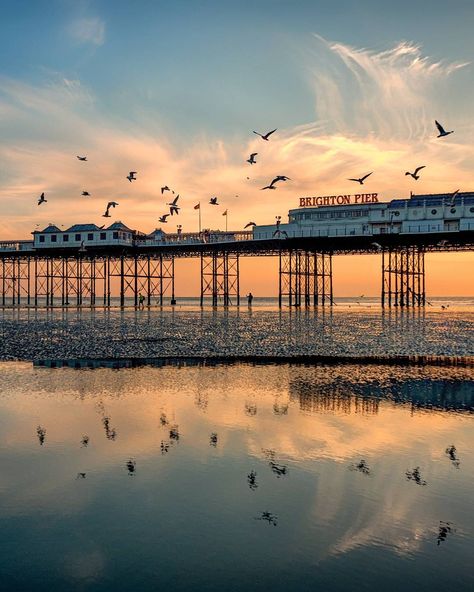 Sam Moore on Instagram: “Seagulls, the colours of a sunset and the Brighton palace pier. . . . #landscapelovers #brightonandhove #thisisbrighton #visitbrighton…” Brighton Wedding Venues, Brighton Photography, Brighton Pier, Brighton England, British Seaside, England Photography, Brighton And Hove, Sunset Pictures, England Travel