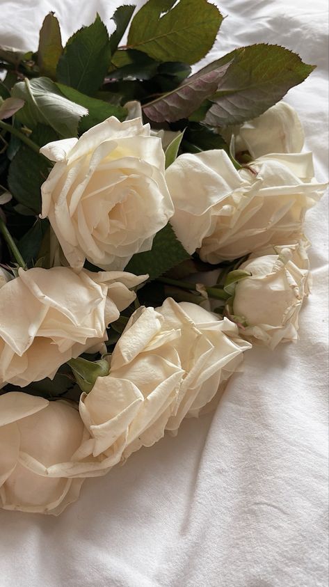 #wallpaper #wallpapers white roses rose aesthetic wallpaper flowers bedtime Bouquet Of White Roses Aesthetic, Rose Blanche Aesthetic, Bouquet Rose Blanche, White Roses Aesthetic Wallpaper, White Roses Aesthetic Vintage, White Rose Aesthetic, White Roses Aesthetic, White Roses Wallpaper, Roses Aesthetic