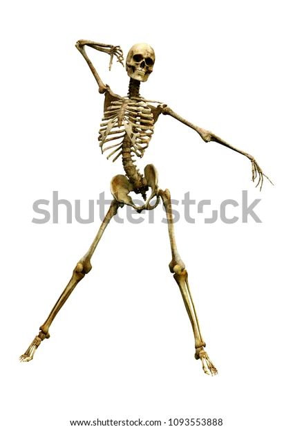 Posing Skeletons, Facial Muscles Anatomy, Full Body Skeleton, Human Skeleton Anatomy, Human Anatomy For Artists, Skeleton Body, Skeleton Anatomy, Dinosaur Tattoos, Base Drawing