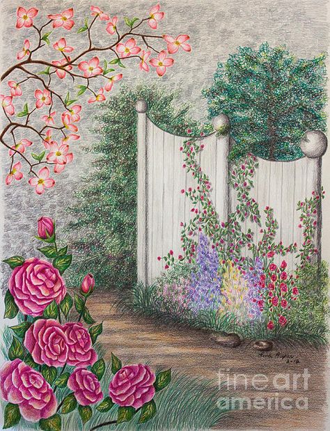 Title  Garden Walkway  Artist  Lena Auxier  Medium  Drawing - Color Pencil On Paper Flowers Color Pencil, Garden Drawing Ideas, Rose Wall Art, Garden Illustration, Drawing Color, Garden Walkway, Flowers Color, Drawing Quotes, Rose Wall