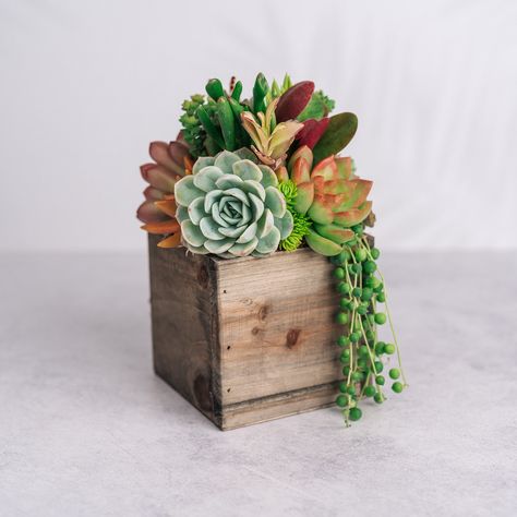 Succulent centerpiece wedding