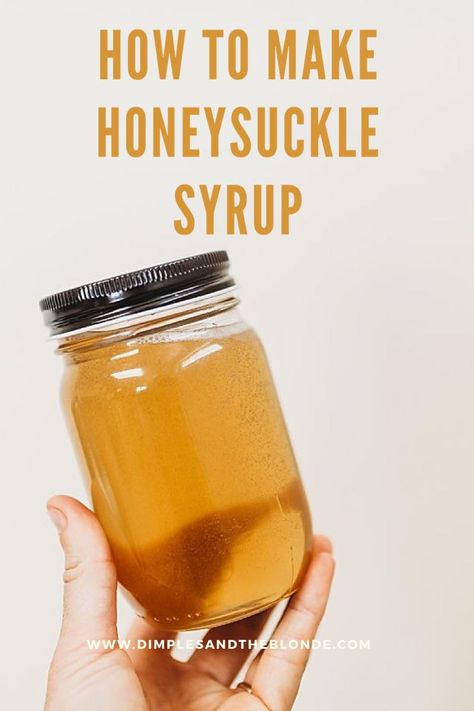 How to Make Honeysuckle Syrup Honeysuckle Syrup, Hickory Syrup, Honeysuckle Plant, Honey Suckle, Honeysuckle Vine, Simple Syrup Recipes, Refreshing Summer Cocktails, Homemade Syrup, Honeysuckle Flower