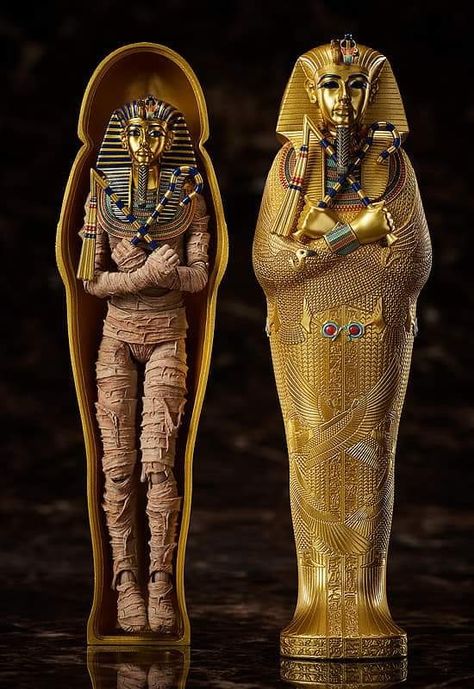 King Tutankhamun, Ancient Egypt Pharaohs, Ancient Egyptian Tombs, Egyptian Mummies, Egyptian Pharaohs, Egypt History, The Mummy, Egypt Art, King Tut