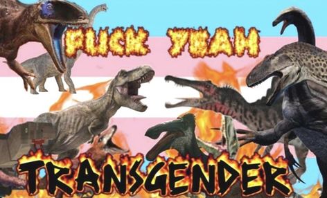 Trans Dinosaur, Lbgt Flag, Trans Pride Flag, Trans Boys, Trans Flag, One Of The Guys, Lgbtq Flags, Lgbt Flag, Gay Memes