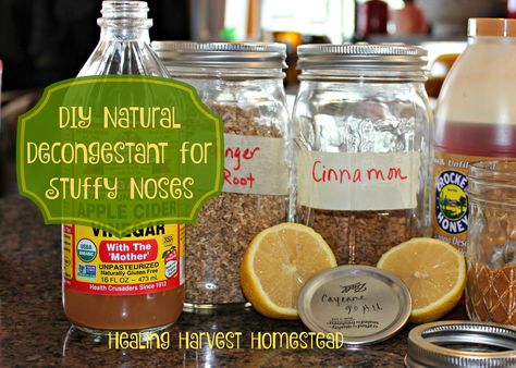 DIY Natural Decongestant that REALLY Works! Get Rid of a Stuffy Nose Naturally https://www.healingharvesthomestead.com/home/2016/11/27/diy-natural-decongestant-that-really-works Heidi Villegas Natural Remedies For Nasal Congestion, Nasal Flush Diy, Headcold Remedies Nasal Congestion, Homestead Medicine, Nose Ideas, Natural Remedies For Congestion, Remedy For Sinus Congestion, Medical Remedies, Nasal Congestion Relief