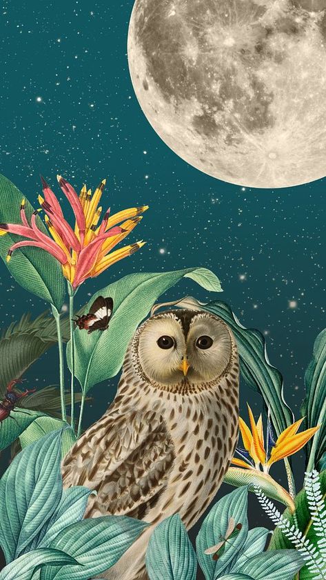 Night owl iPhone wallpaper, vintage animal illustration. Remixed by rawpixel. | premium image by rawpixel.com / ton Owl Iphone Wallpaper, Iphone Wallpaper Forest, Owl Wallpaper Iphone, Vintage Animal Illustration, Owl Night, Wallpaper Forest, Beach Wallpaper Iphone, Owl Moon, Owl Wallpaper