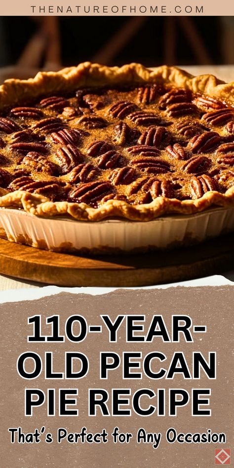 Take your baking to the next level with this 110-year-old Texas pecan pie recipe! From its sweet, gooey filling to its buttery crust, this dessert is a timeless treat for any occasion. Save this pin to make it part of your recipe collection! 1914 Pecan Pie Recipe, Deep Dish Pecan Pie Recipe, Texas Pecan Pie Recipe, Old Fashioned Pecan Pie Recipe, Pecan Cream Pie Recipe, Texas Pecan Pie, Easy Pecan Pie Recipe, Best Pecan Pie Recipe, Best Pecan Pie