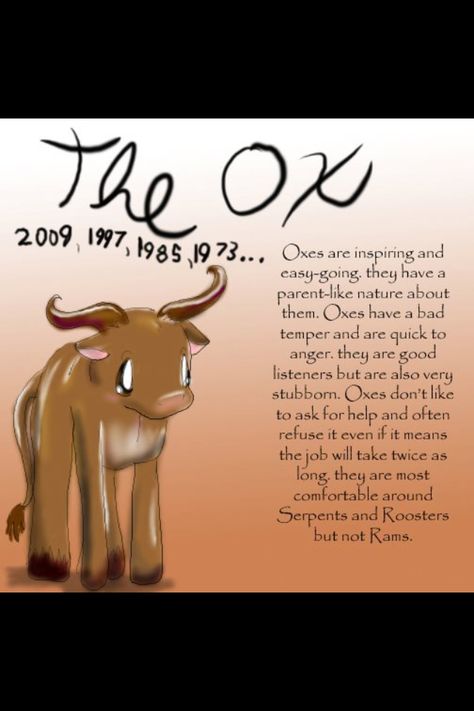 Year of the Ox Ox Tattoo, Chinese Numerology, Chinese New Year Zodiac, Bad Temper, Numerology Chart, Chinese Astrology, Good Listener, Chinese Zodiac Signs, Chinese Zodiac