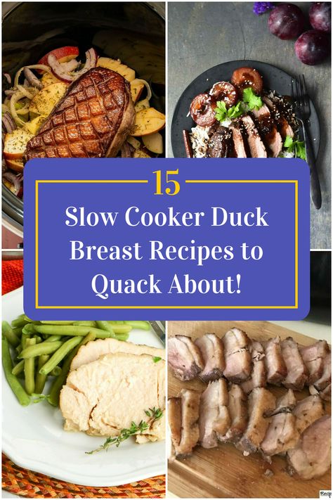 Collage of 4 slow cooker duck breast recipes. Crockpot Duck Recipes, Slow Cooked Duck Recipes, Crockpot Duck, Pressure Cooker Duck Recipes, Duck Recipes Whole Slow Cooker, Cooking Duck In Crock Pot, Slow Cooker Duck Recipes, Grilled Duck Breast Recipes, Duck Breast Recipes Easy